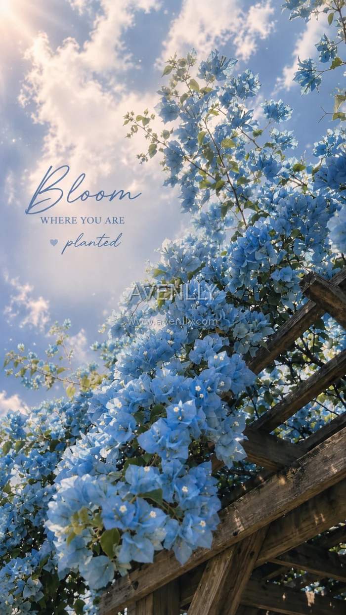 Bloom Where You Are Planted Aesthetic Wallpaper
