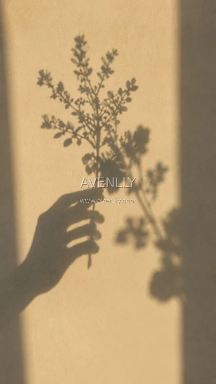 Botanical Shadow Aesthetic Wallpaper