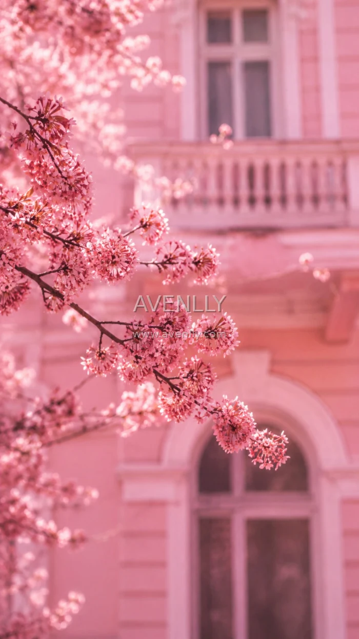 Pink Aesthetic Wallpapers
