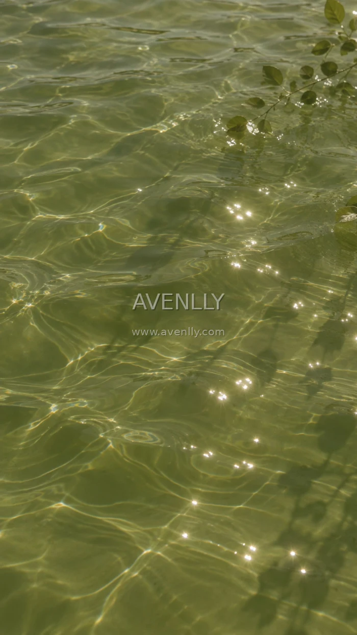 Green Water Reflections Aesthetic Wallpaper