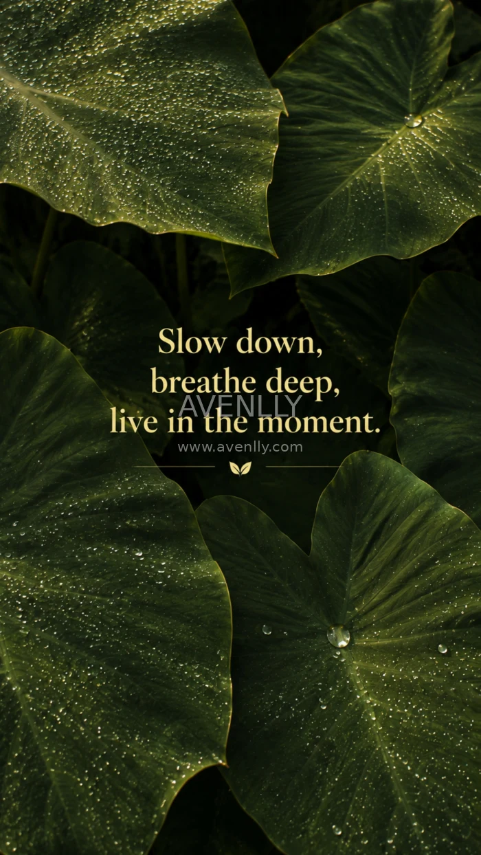 Mindful Nature Quote Wallpaper 4K