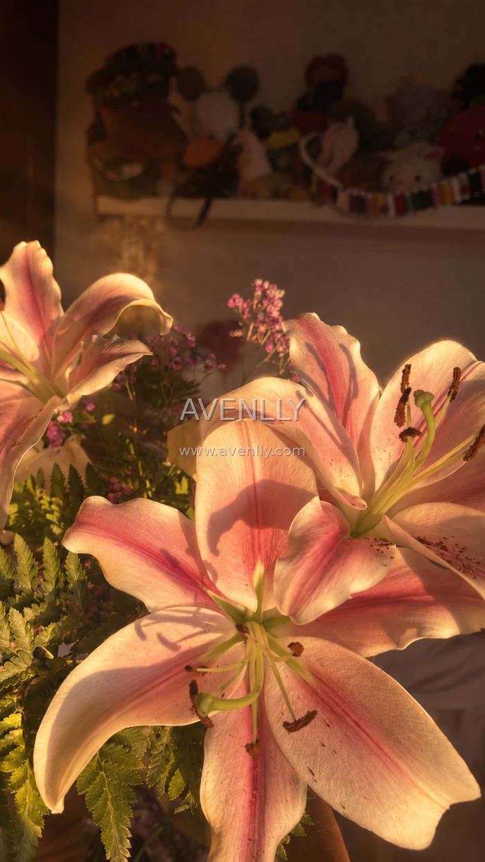 Pink Lily Flowers Golden Hour Wallpaper 4K