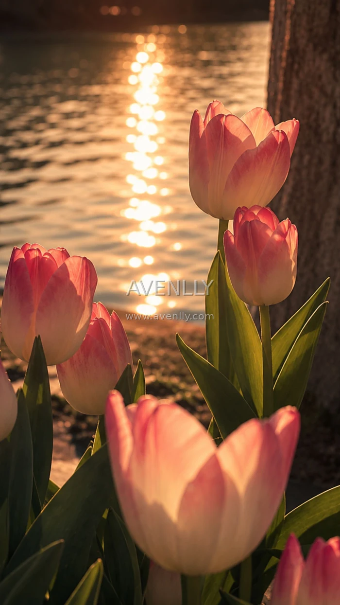 Twilight Tulip Garden Aesthtic Wallpaper 4K