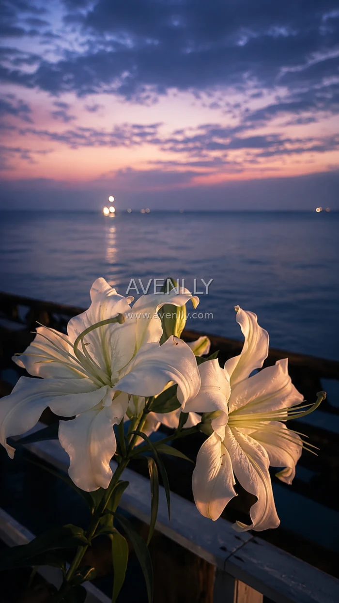 White Lily by the Sea at Twilight Aesthetic Wallpaper HD