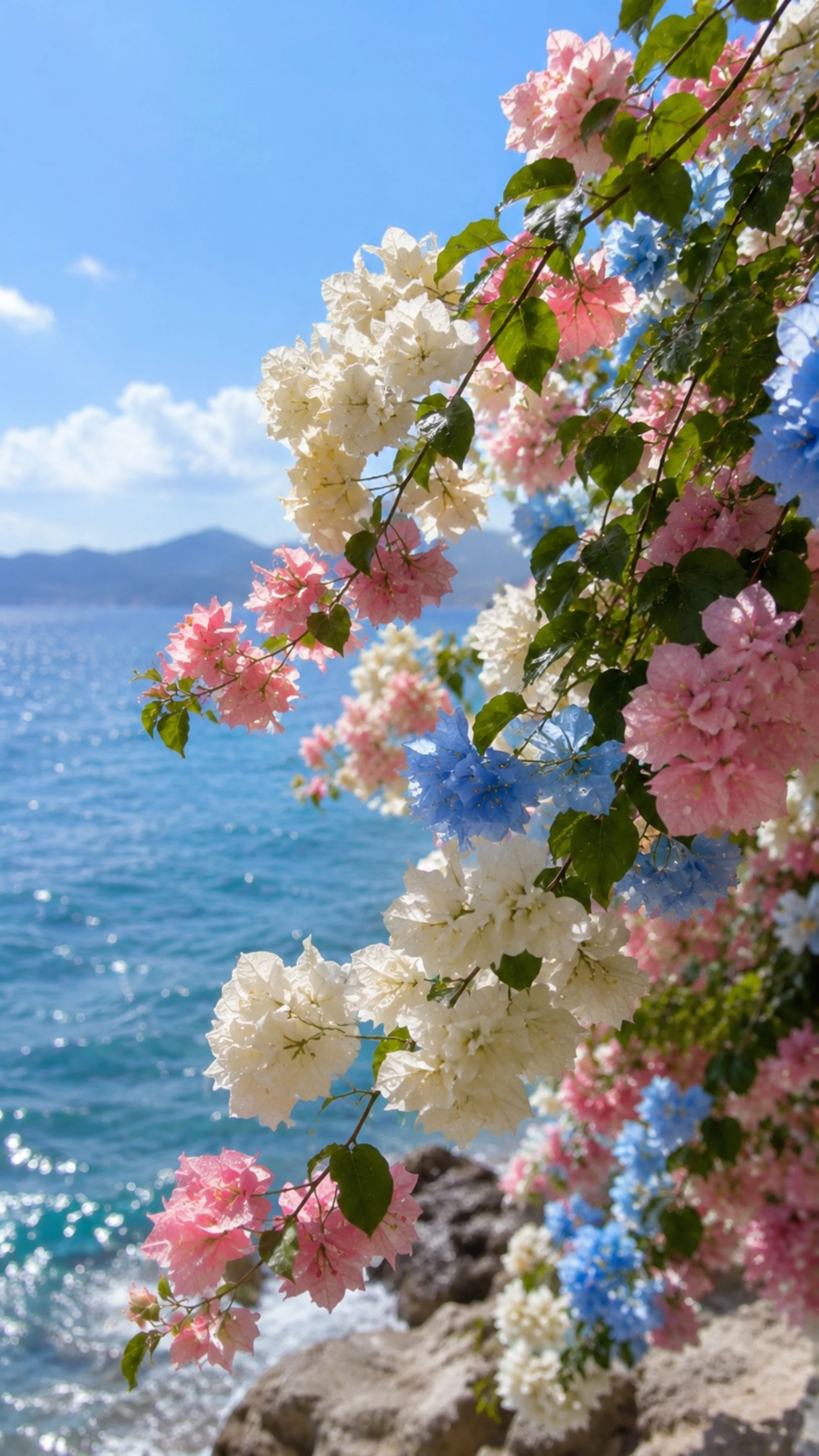Coastal Bloom Serenity Wallpaper | Aesthetic 4K HD